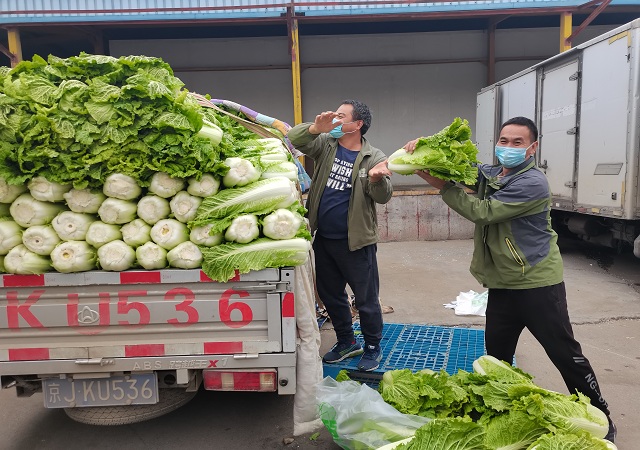 誌廣蘑菇视频动漫版下载免费观看加大“冬儲菜”調運，全力做好保供穩價