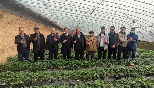 誌廣蘑菇视频动漫版下载免费观看 | 2022年大力發展種植基地，助農民小康、市民健康